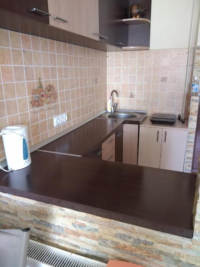 Apartment Alexandra 's Studio Brasov